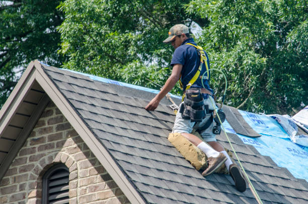 Best Roof Leak Repair  in Waimanalo, HI